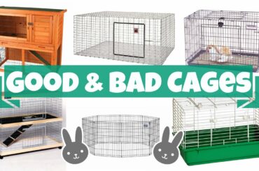 Good vs Bad Rabbit Cages