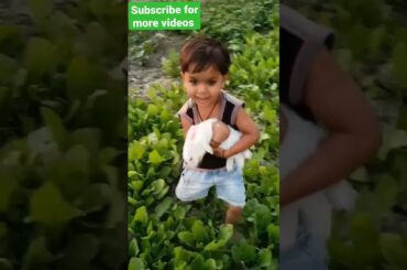 Cute Bunny | Rabbit videos | playing bunny | hungry rabbits #shorts