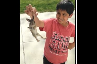 So Cute Rabbit...
