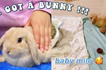 I GOT A BUNNY VLOG!!! *Come with me to get my holland lop baby*