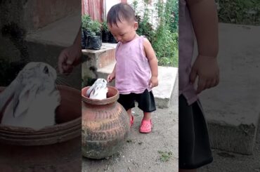 Cute Baby & Cute Rabbit | #Shorts