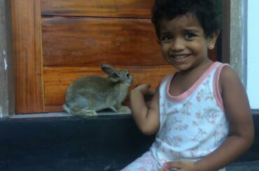 baby palying with rabbit / Cute Baby Rabbits Playing