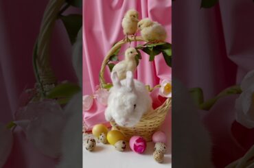 cute bunny playing with birds//#bunny #rabbits #shorts