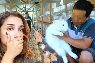 The Dark, Twisted Truth about Breeding Rabbits