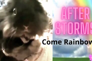 cute rabbit rainbow connection to human / theres a rainbow after a storm