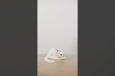 Cute Rabbit pet's Lover #shorts