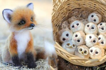 Cute baby animals Videos Compilation cute moment of the animals - Cutest Animals #14