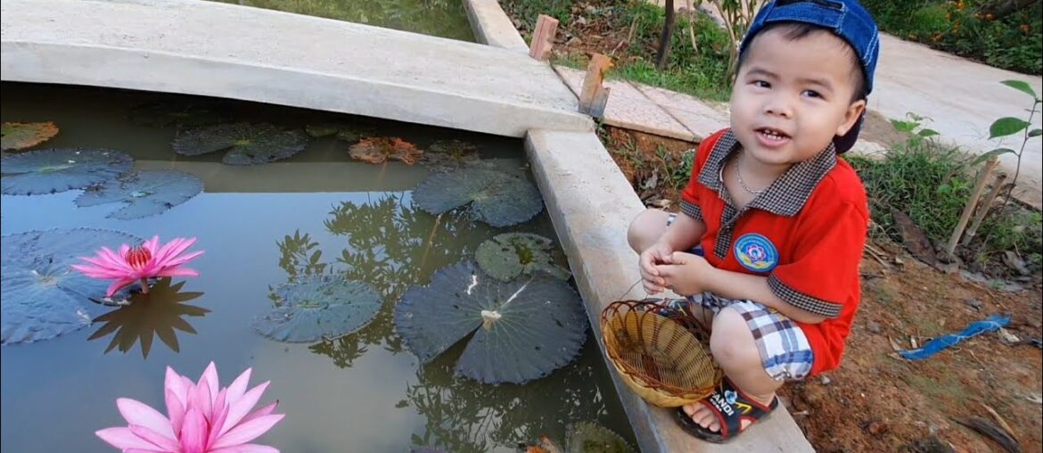 Loc cute goes to pick guava for rabbits and saves cute duckling in animals home Loc cute goes to pick guava for rabbits and saves cute duckling in animals home