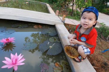 Loc cute goes to pick guava for rabbits and saves cute duckling in animals home