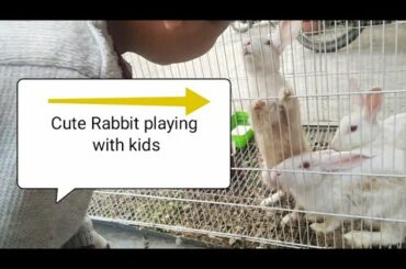 Cute Rabbit/bunny/khargosh playing with kids