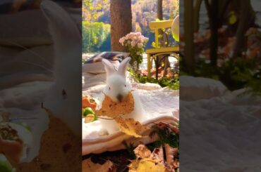 How Cute Rabbit #bunny#rabbit#bunnylover#cute#bunnies#rabbits#love#pet#short#animal#viral#rabitlover