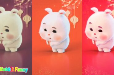 #fatrabbit #cuterabbit super cute fat rabbit | Funny  the Chubby Rabbit | tiktok grean cute rabbit#3