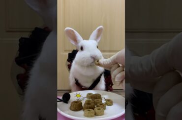 Imposter Cute Rabbit  Cute Rabbit #00168 40