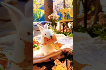 Cute Rabbit, Eating Rabbit Animal, Funny And Bunny Rabbit!
