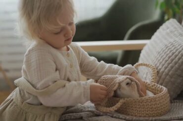 Cute rabbits -baby rabbit lllll #3