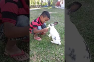 Son Feed Banana For Cute Rabbit#shorts