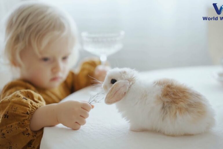 Cute Baby with Cute Rabbit