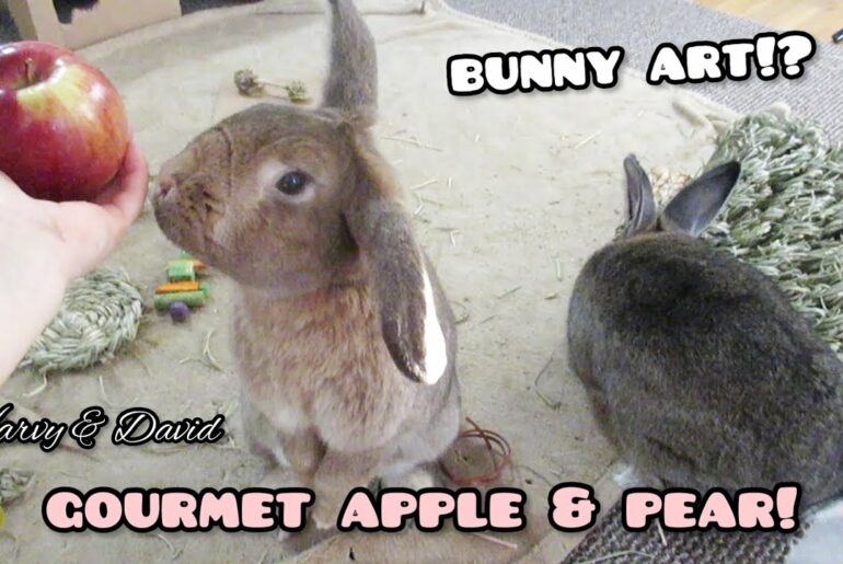 Cute Bunnies Taste Test Gourmet Apple and Pear from Harry & David!