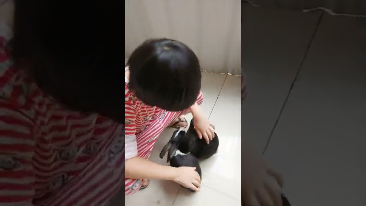 playing time with cute bunny