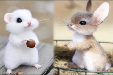 AWW SO CUTE! Cutest baby animals Videos Compilation Cute moment of the Animals - Cutest Animals #44