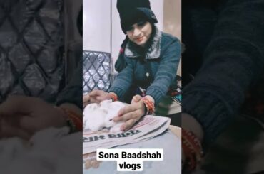 Cute Rabbit New Born Babies short #shorts #animals #rabbit #cute Sona Baadshah