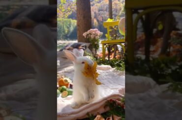Cute bunny nibbling leaf #shorts #youtubeshorts #bunny #pets
