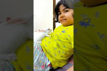 Rabbit video#cute rabbit #short