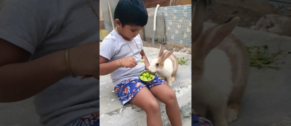 Rabbit with kid #rabbit #kids #baby #cute