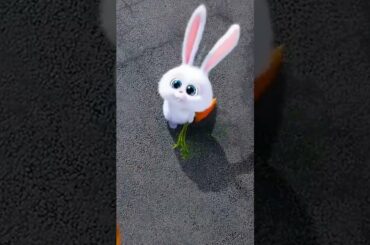 cute rabbit || #Shorts