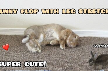 Super Cute Bunny Flop with Leg Stretch!