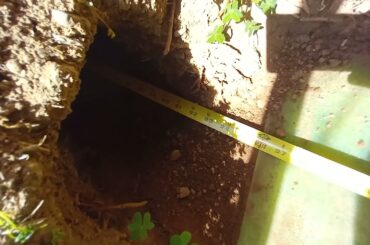 Cute bunny rabbit builds secret bunker update