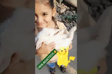 Her love for Guglu | Her little cute bunny | adorable reaction | #shorts #ytshorts #lovestatus