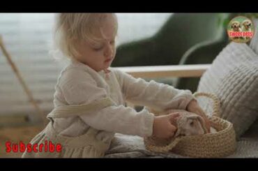 A Baby Playing With A Cute Rabbit | Sweet Scenes | Rabbit | Pets | Rabbits Funny Moments | SweetPets
