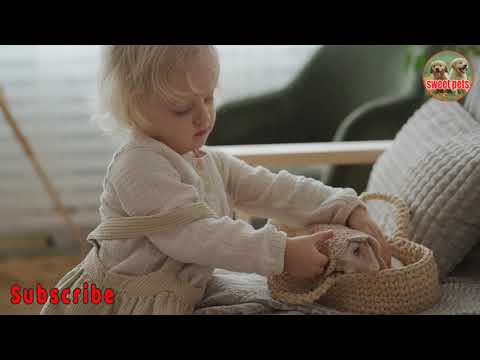A Baby Playing With A Cute Rabbit | Sweet Scenes | Rabbit | Pets | Rabbits Funny Moments | SweetPets