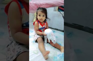 cute bunny! cute rabbit!! #rabbit #cuterabbit #shorts #petanimal