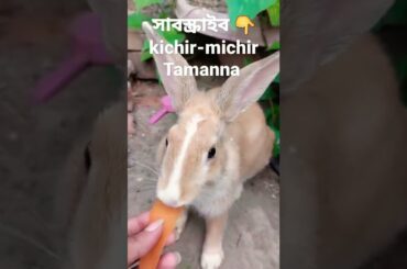 #shorts#cute#baby#bunny#khorgosh#rabbit