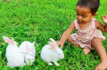 Funny and Cute Baby Rabbit Videos - Baby Animal Video Compilation - Funny Baby with Rabbit