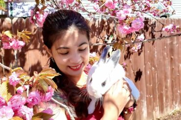 April shower brings May flowers || CUTE BUNNY