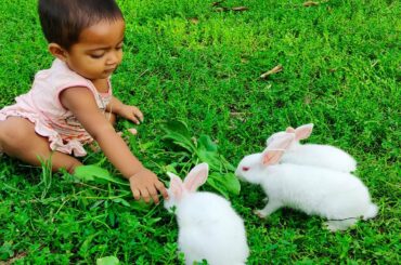 Funny and Cute Baby Rabbit Videos - Baby Animal Video Compilation - Funny Baby with Rabbit part -1