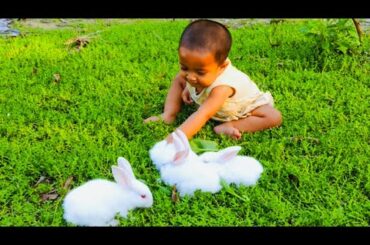Funny and Cute Baby Rabbit Videos - Baby Animal Video Compilation - Funny Baby with Rabbit part - 1