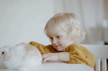 Funny and Cute Baby Rabbit Videos | Baby Animal Video | Cute Rabbits Video | The Animals Kingdom