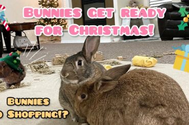 Cute Bunnies Get Ready for Christmas! Go Shopping!?