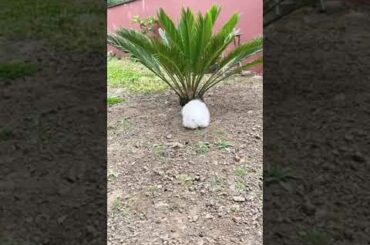 It's okay to have bad days too. Funny bunny, cute bunny videos.