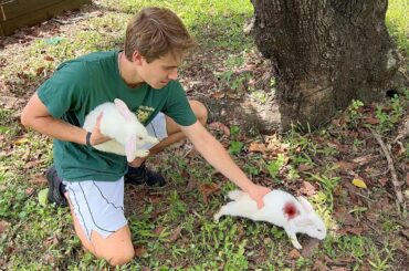 NEGLECTED RABBITS FOUND DUMPED BY OWNERS ! WHAT HAPPENED ?!