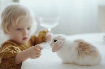 Baby bunnies are so cute that's why they are loved by children