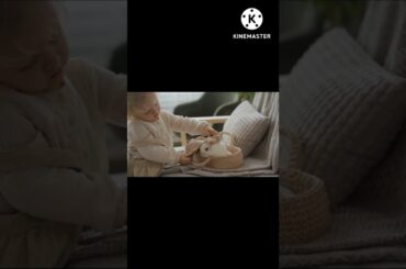Funny and Cute Baby Rabbit Videos - Baby Animal Videos#12|Cute Animal #funnyvideo