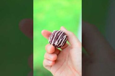 Cute Bunny Eats A Rose Velvet Truffle!