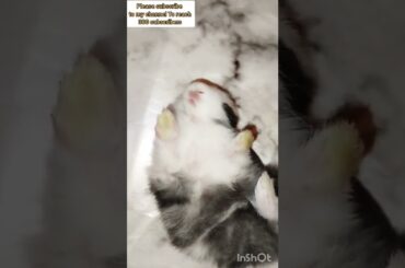 #baby#business#rabbit#cute baby bunny day