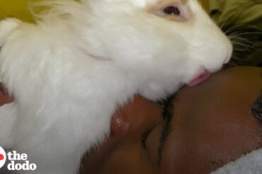 Guy Finds Abandoned Bunny At The Park And Becomes His Dad | The Dodo Soulmates