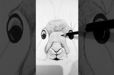 Cute Rabbit Sketch #rabbit #cuteanimals #shorts #shortvideo